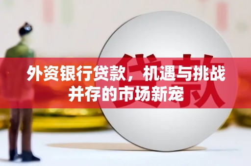 蓬江外资银行贷款，机遇与挑战并存的市场新宠