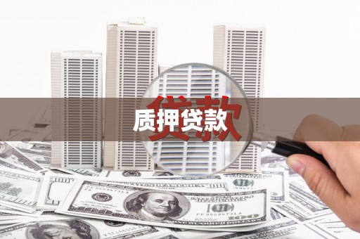 金寨质押贷款