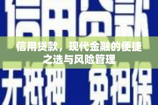 龙崎信用贷款，现代金融的便捷之选与风险管理
