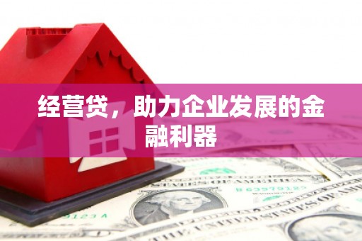 江源经营贷，助力企业发展的金融利器