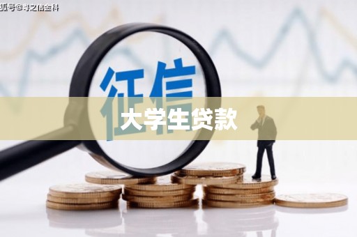 云龙大学生贷款