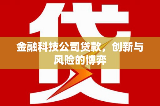 阆中金融科技公司贷款，创新与风险的博弈
