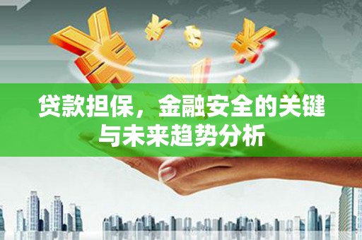 凤阳贷款担保，金融安全的关键与未来趋势分析