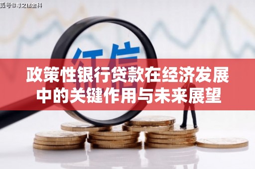 巍山政策性银行贷款在经济发展中的关键作用与未来展望
