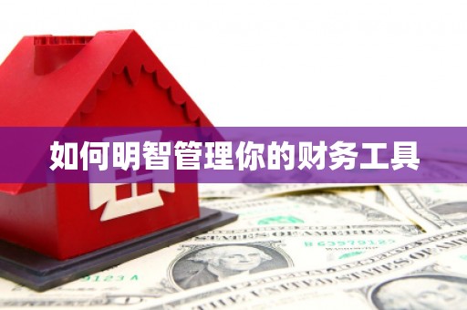 皋兰如何明智管理你的财务工具