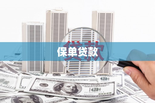 开平保单贷款