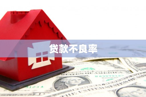 金阳贷款不良率
