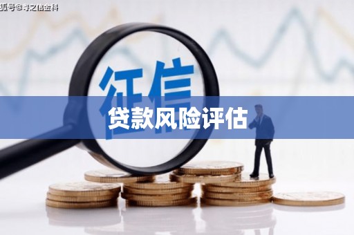 保康贷款风险评估