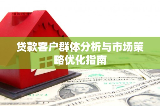 田林贷款客户群体分析与市场策略优化指南