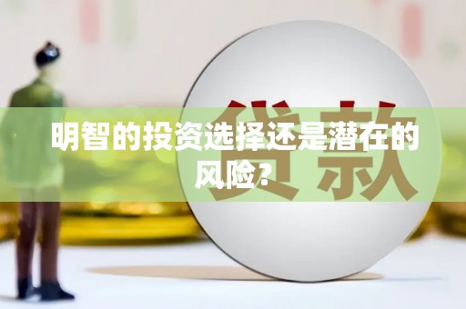 邱县明智的投资选择还是潜在的风险？