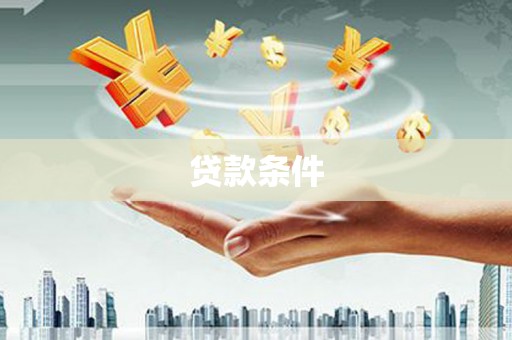 岱岳贷款条件