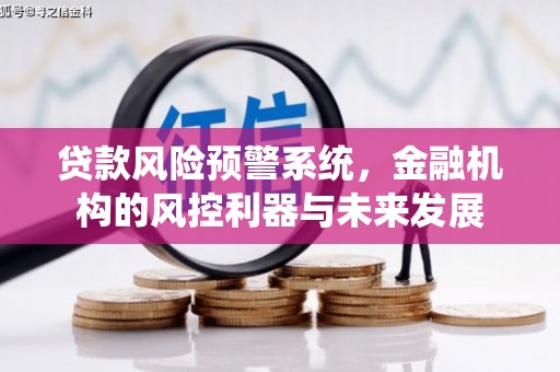 昭平贷款风险预警系统，金融机构的风控利器与未来发展