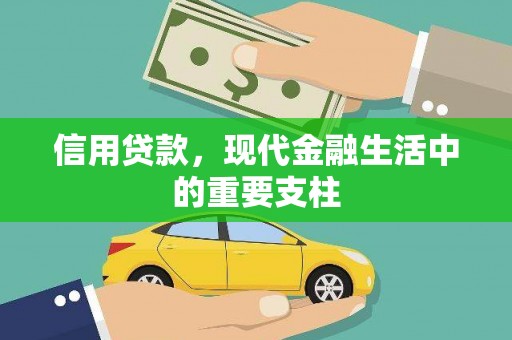 小金信用贷款，现代金融生活中的重要支柱