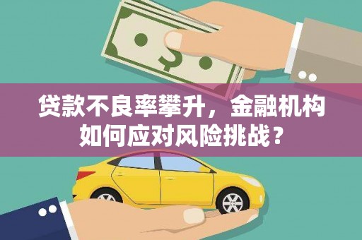 黔西贷款不良率攀升，金融机构如何应对风险挑战？