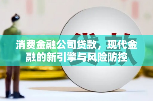 金华消费金融公司贷款，现代金融的新引擎与风险防控