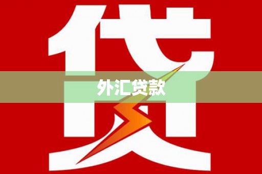埌东外汇贷款