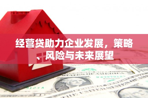 勉县经营贷助力企业发展，策略、风险与未来展望