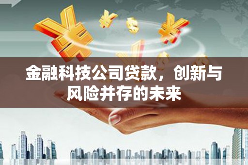会理金融科技公司贷款，创新与风险并存的未来