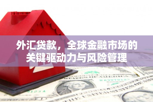 南票外汇贷款，全球金融市场的关键驱动力与风险管理