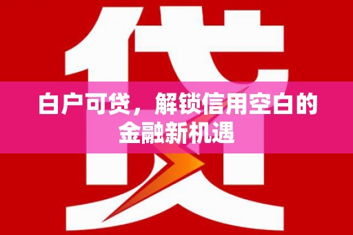 揭东白户可贷，解锁信用空白的金融新机遇