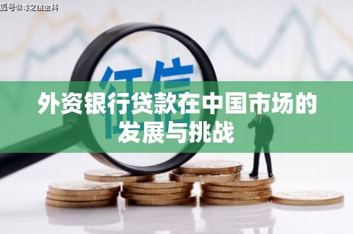 晋州外资银行贷款在中国市场的发展与挑战