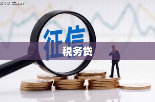 阿莲税务贷