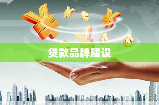 太和贷款品牌建设