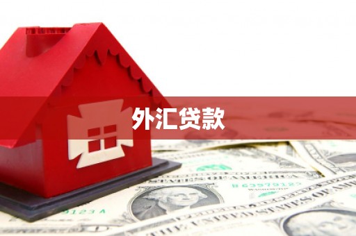 开江外汇贷款