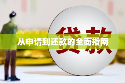 洛扎从申请到还款的全面指南