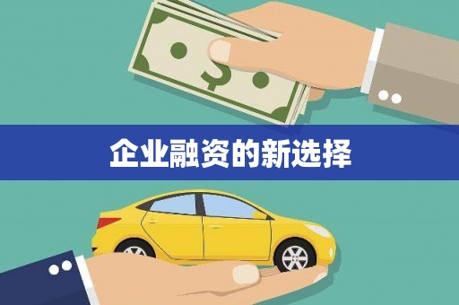 甲仙企业融资的新选择