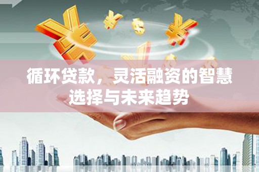 汉川循环贷款，灵活融资的智慧选择与未来趋势