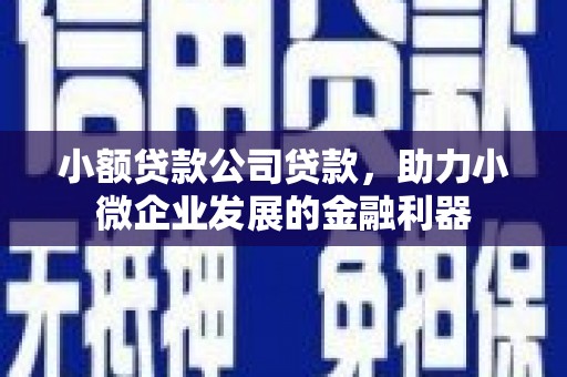 天元小额贷款公司贷款，助力小微企业发展的金融利器
