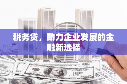 普陀税务贷，助力企业发展的金融新选择