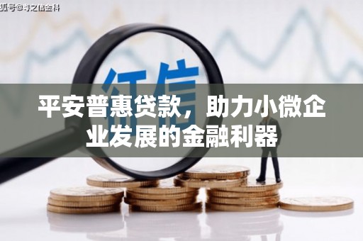仙桃平安普惠贷款，助力小微企业发展的金融利器