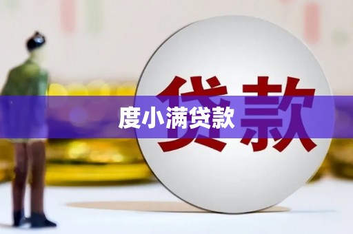 桃江度小满贷款
