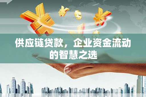 沈丘供应链贷款，企业资金流动的智慧之选