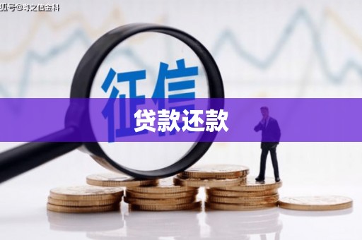 公安贷款还款