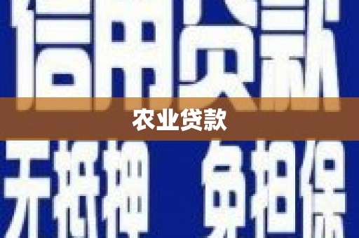 阳谷农业贷款