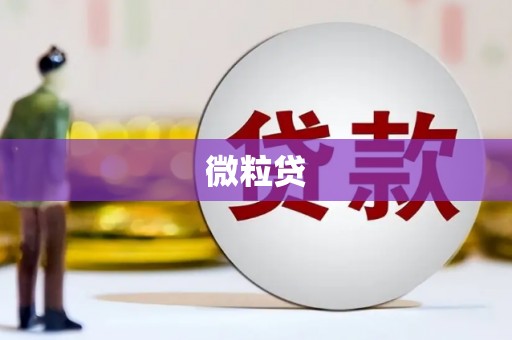 西双版纳微粒贷