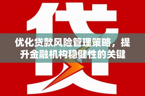 岳麓优化贷款风险管理策略，提升金融机构稳健性的关键