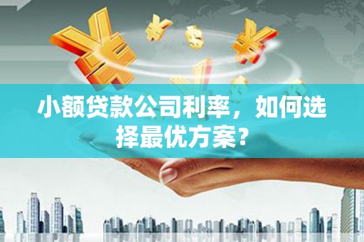 天元小额贷款公司利率，如何选择最优方案？