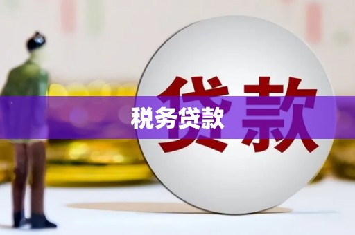 成都税务贷款