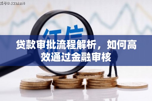 临夏贷款审批流程解析，如何高效通过金融审核