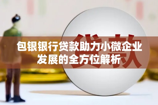 霞浦包银银行贷款助力小微企业发展的全方位解析