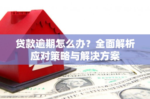 平潭贷款逾期怎么办？全面解析应对策略与解决方案