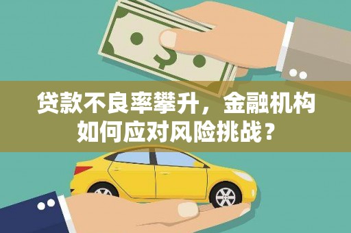 会理贷款不良率攀升，金融机构如何应对风险挑战？