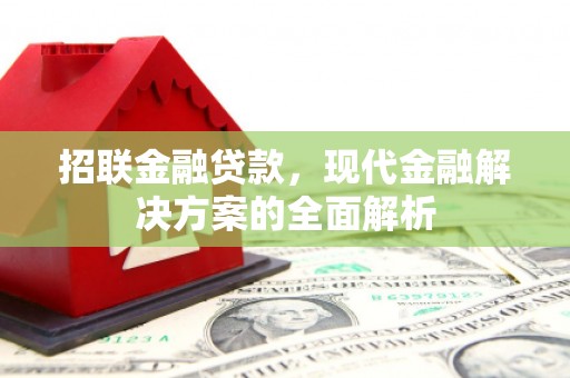 南投市招联金融贷款，现代金融解决方案的全面解析