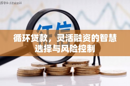 榆树循环贷款，灵活融资的智慧选择与风险控制