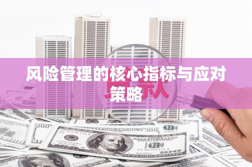 澄城风险管理的核心指标与应对策略