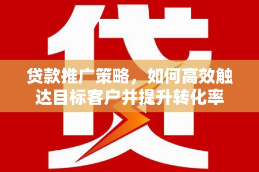 庐阳贷款推广策略，如何高效触达目标客户并提升转化率